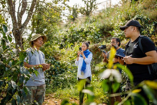 Sơn Pacamara Specialty Coffee Farm